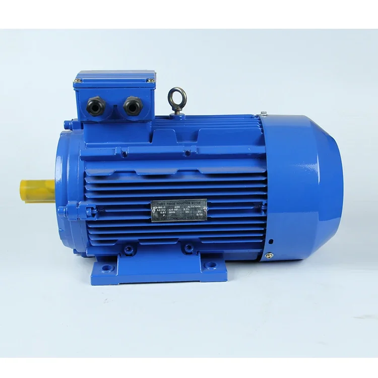 11kw 18kw 18.5kw 22kw 30kw 100kw 130kw 132kw 160kw 200kw 250kw 380v Ye2 Three Phase Ac Electric Motor Induction