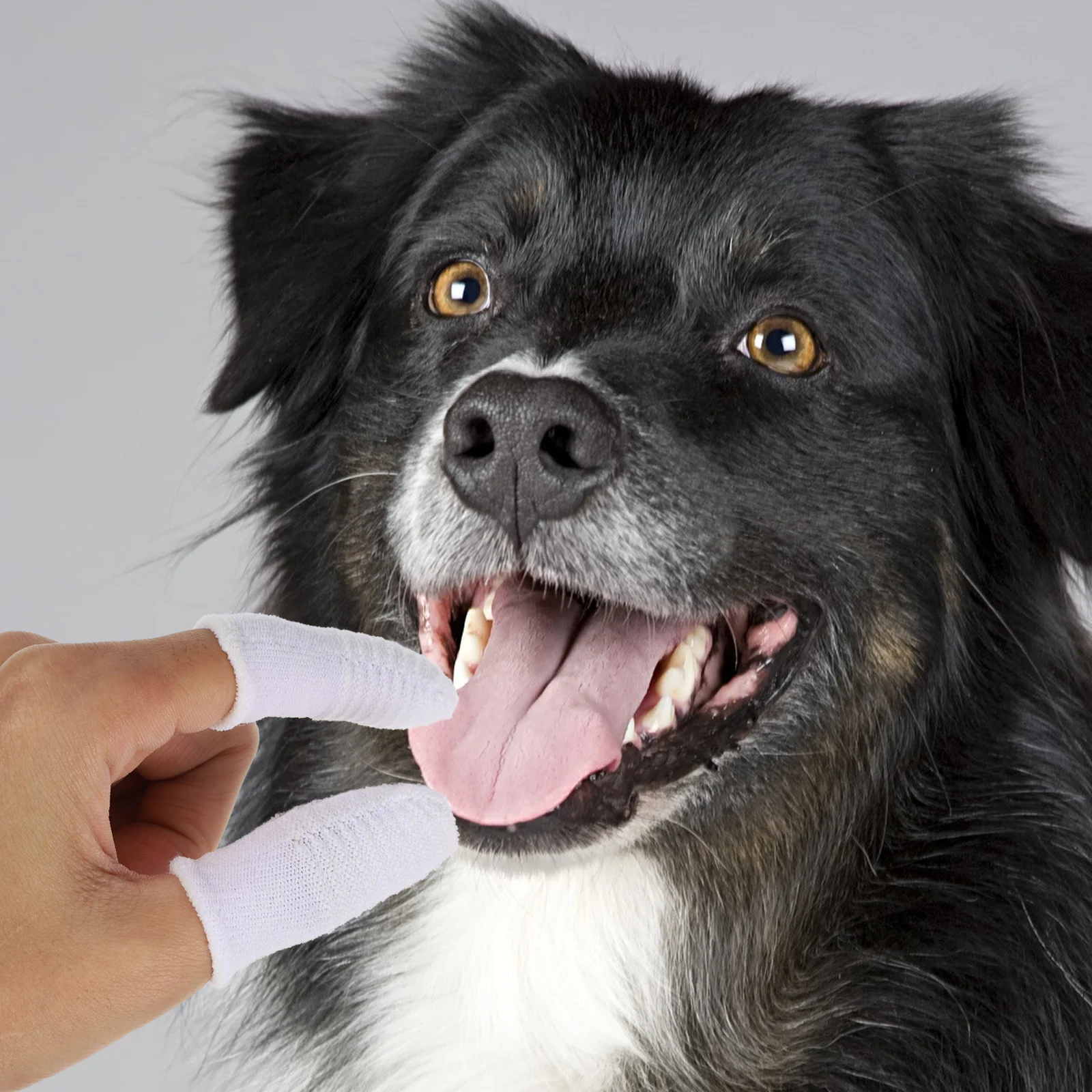 

6Pcs Pet Finger Toothbrush Soft Silicone Dog Cat Teeth Cleaner Oral Care Tool Puppy Teeth Cleaning Supplies Cat Toothbrush