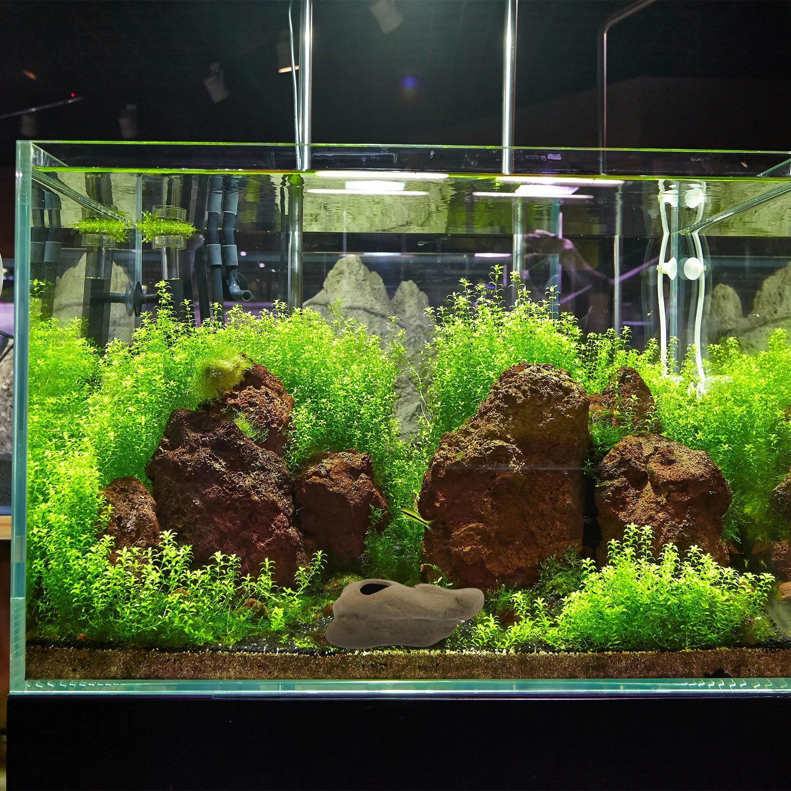 

2Pcs Aquatic Plant Pot Ceramic Fish Tank Plant Cup Holder Aquarium Decor Fixed Base for Aquatic Plants Shrimp Cave