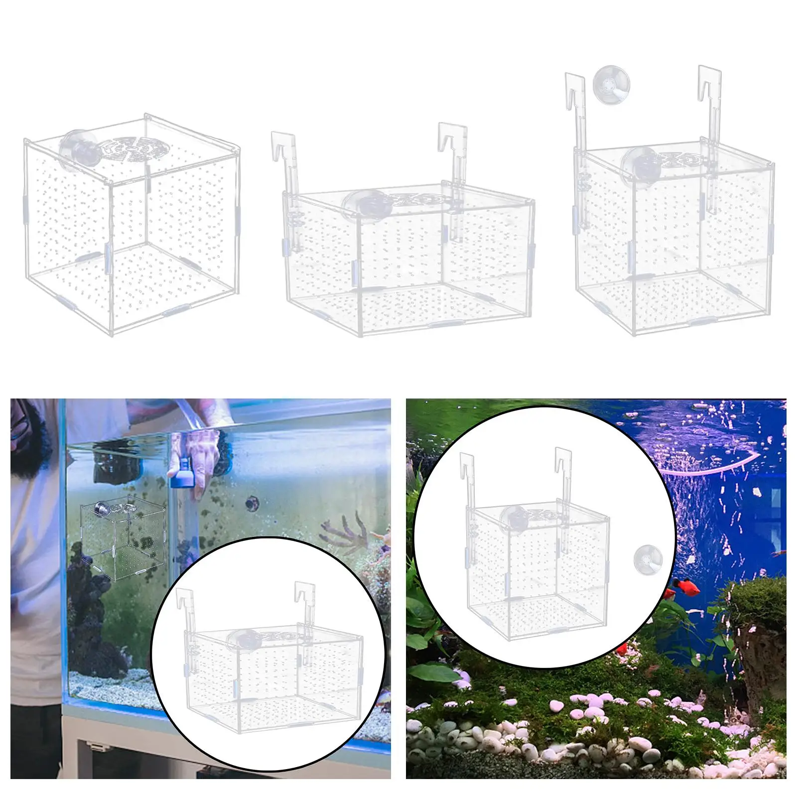 Aquarium Isolation Box Multifunction Aquarium Supply Fish Breeding Holder for Newborn Fry Guppy Aggressive fish babies prawn