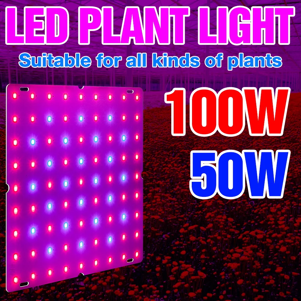 

100W LED Full Spectrum Grow Light Quantum Board Plant Cultivation Lamp Greenhouse Tent Fruit Vegs Flower Succulent Fill Lighting