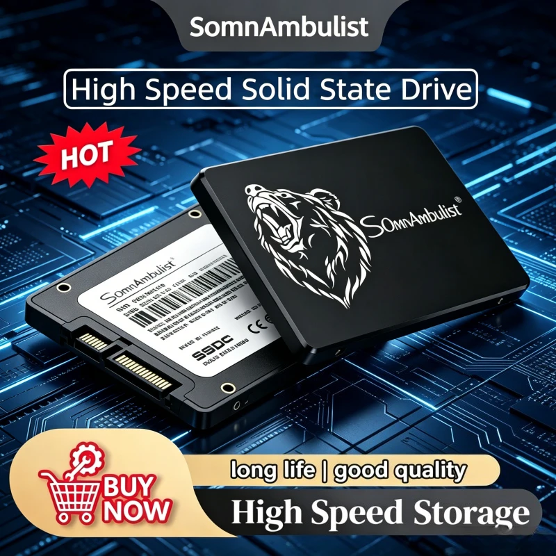 

SomnAmbulist SSD Solid State Drive 2.5 Inch SATA3.0 for Desktop 256GB Laptop 1TB 2TB Computer Hard Drive Compatible with 128GB