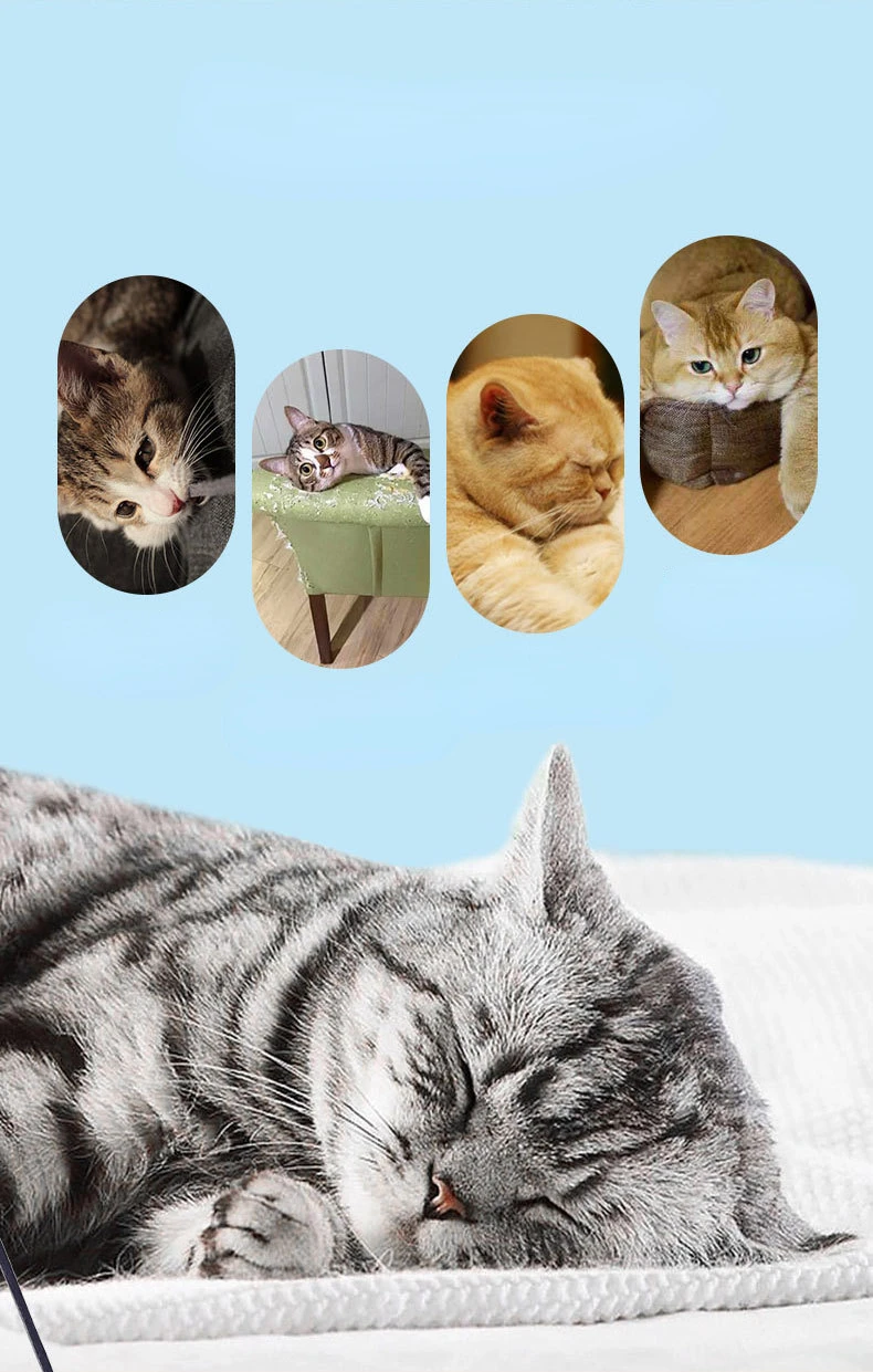 Luxuriöser Katzenstäbchen mit Libellen-Federkopf, handgefertigt, Ersatzspielzeug im Insektenstil, interaktives Spielen, Heimtierbedarf – Detail 7
