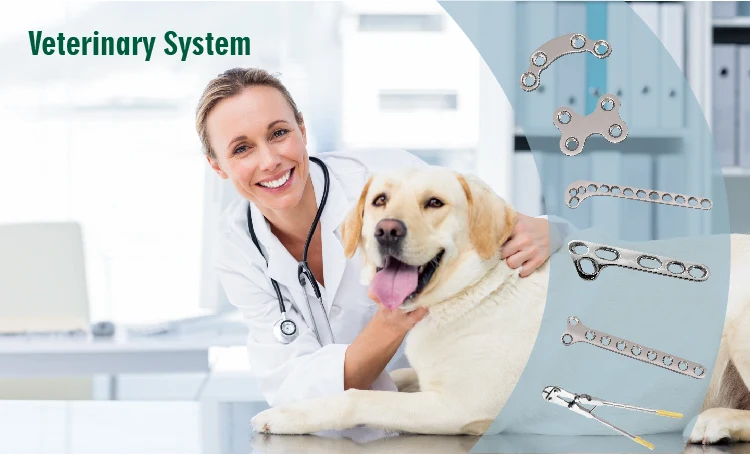 Medical Wrist Joint Fusion Locking Plate | O/rthopedic Surgery for Veterinary I/mplant