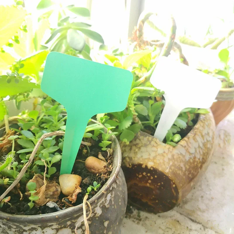 Plant Label Waterproof Marker Tag for Succulent Pot Flower Seedling Garden Use Home Indoor Outdoor Herb Nursery Seed Tray Pot