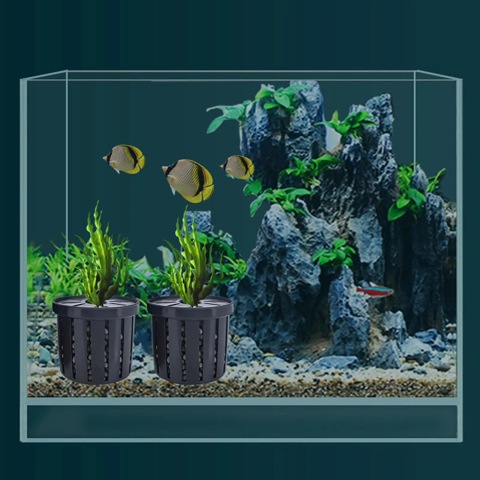 4 stücke Haustier Aquarium Dekorationen Zubehör Aquarium Anlage Stehen Stabile Aquarium Net Tasse Hydrokultur Anlage Lagerung Festen Korb – Detail 11