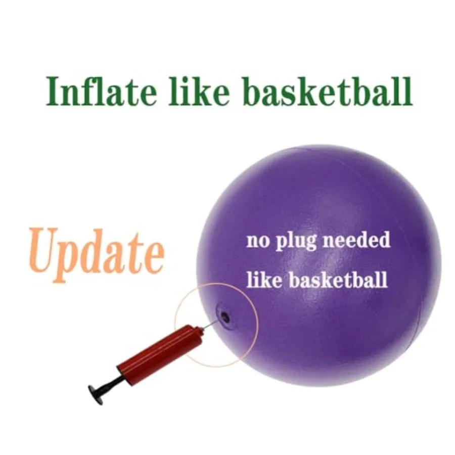 Small Exercise Ball Between Knees, 6 inch Pilates Ball with Needle Pump, Mini Yoga Ball for Core Stability Workout Fitness