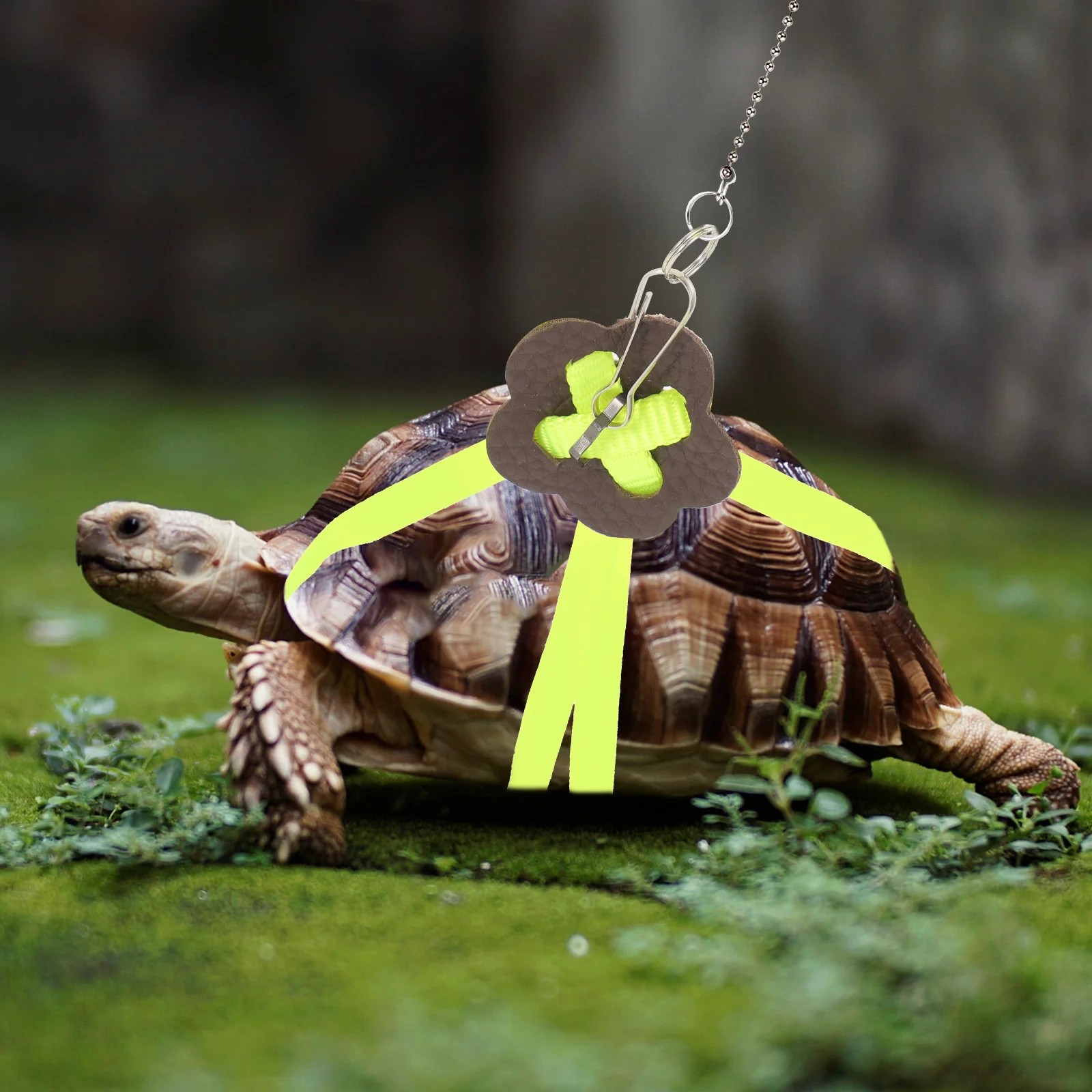 

Pet Traction Rope Reptile Leash Soft Faux Turtle Lead Harness for Small Drag Training Reptile Pet Supplies