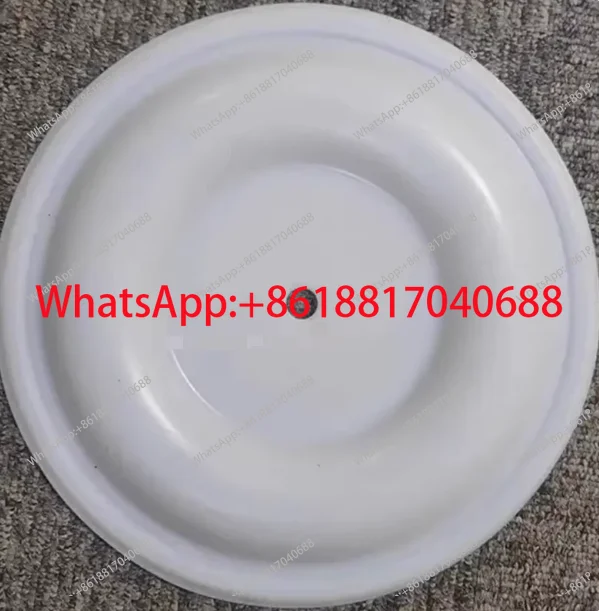 

15K312 PTFE Diaphragm forSeries Pumps