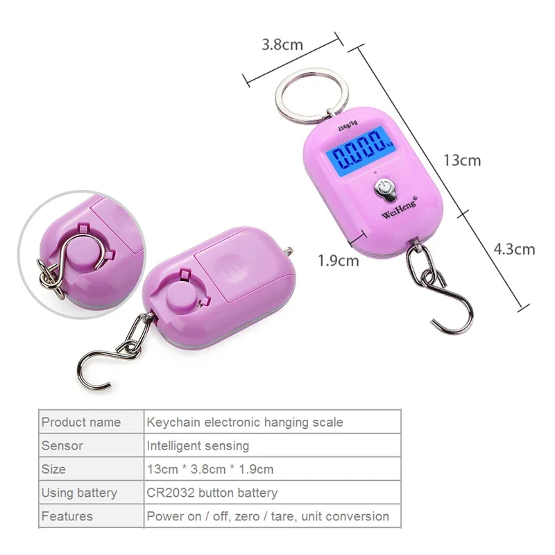 25kg/5g Portable Hanging Scale Keychain Electronic Scales with Hook Mini Digital Scales for Fishing Luggage Travel Weighting