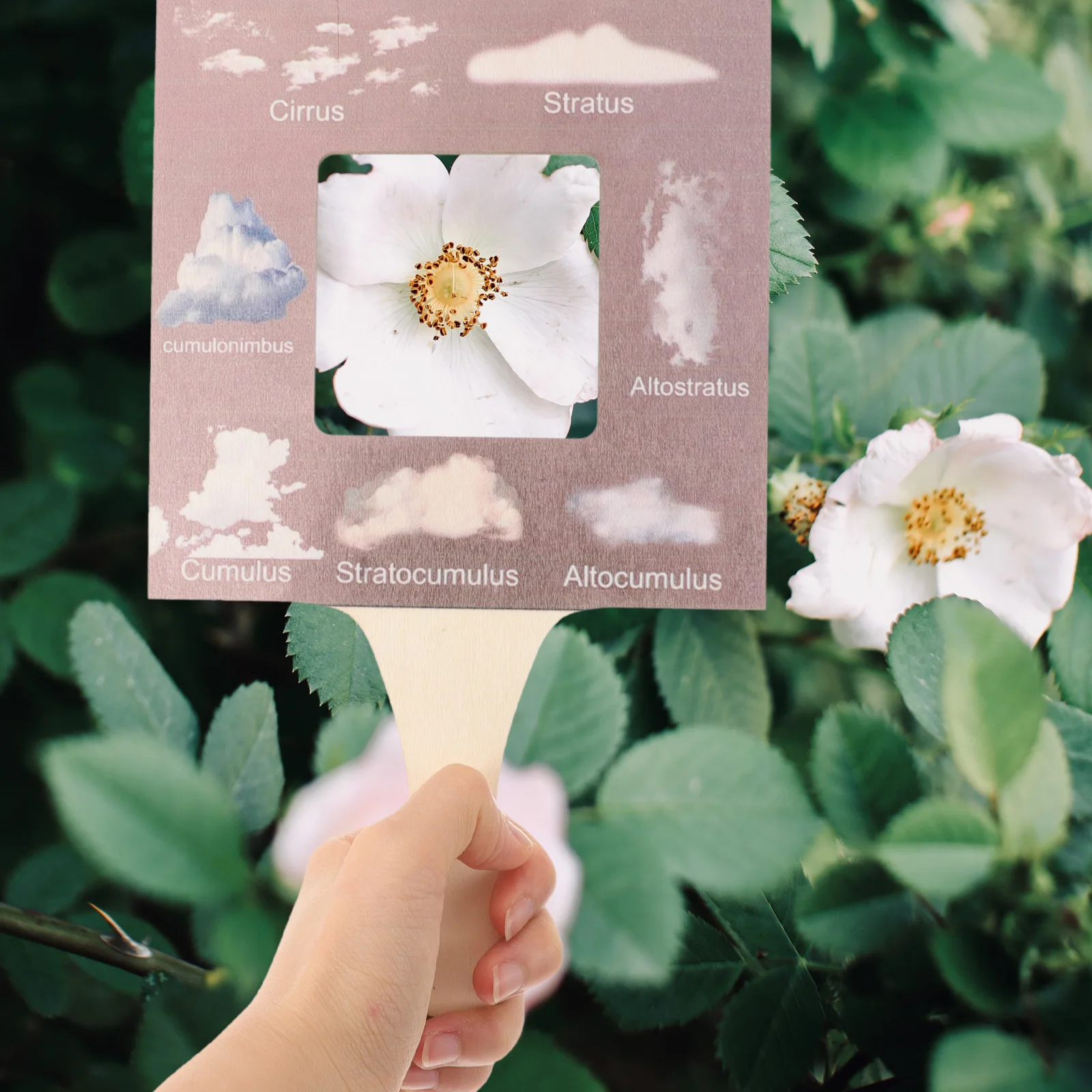 Natural Wood Guide Finder For Nature Guide Frame Kids Outdoor Observation Tool Cloud Identification Educational Learning