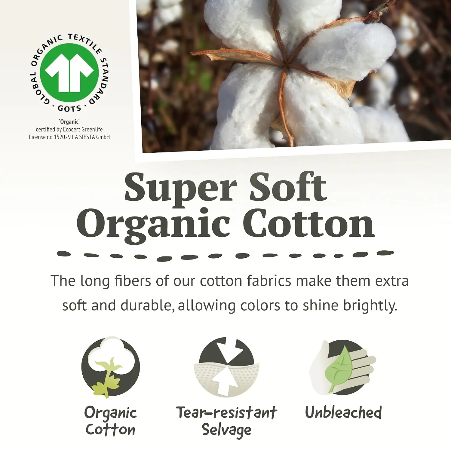 Organic Cotton Hammock 2 Person Indoor Outdoor Bedroom Backyard 355 Lbs, Customized