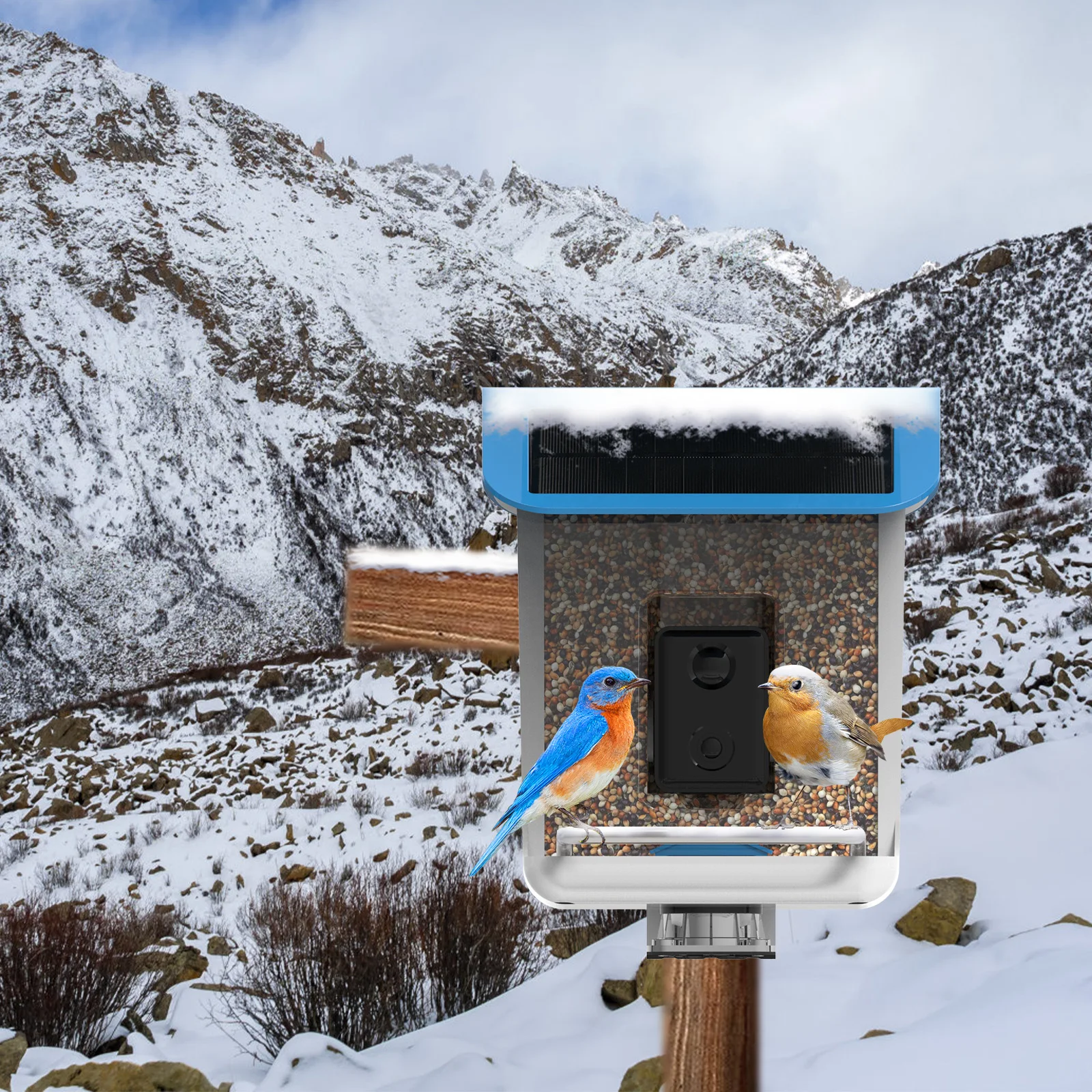 Bird Feeder Mini Camera House Monitor Wireless WiFi Cam 1080P Outdoor Watching Aves Camcorder Video Recorder Safety Surveillance image 3