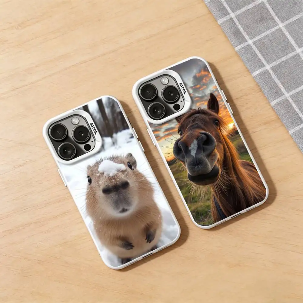 

Funny Animal Face Phone Case for iPhone 17 16 15 14 13 12 11 Pro Plus Max Air Mini X XS TPU Bumper