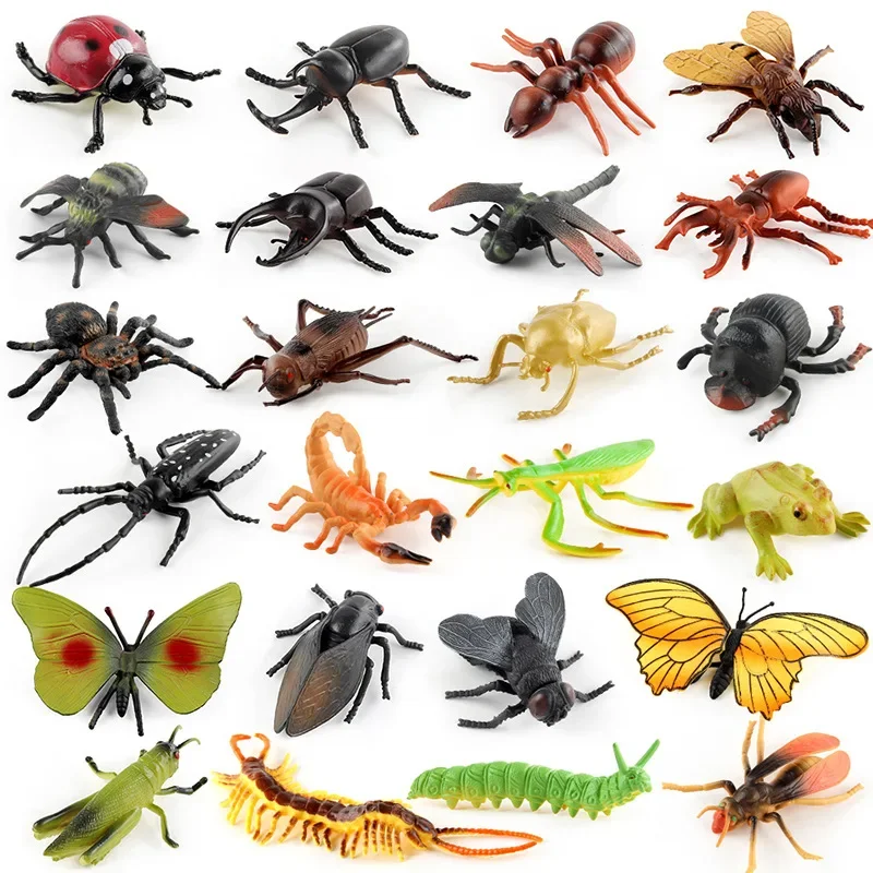 Figurines d'action de simulation d'insecte pour enfants, araignée d'Auckland, équation de papillon, mante, criquet, libellule, modèles, jouets de décoration d'intérieur