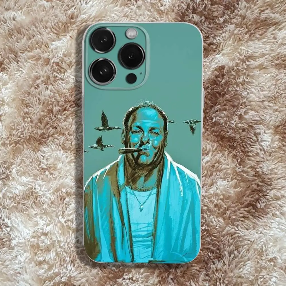 S-ソプラノズ フィルム iPhone 16,15,14,13,12,11 Pro,Max,Plus,X,XS,XR,SE4,E Mini用 透明 ソフトケース