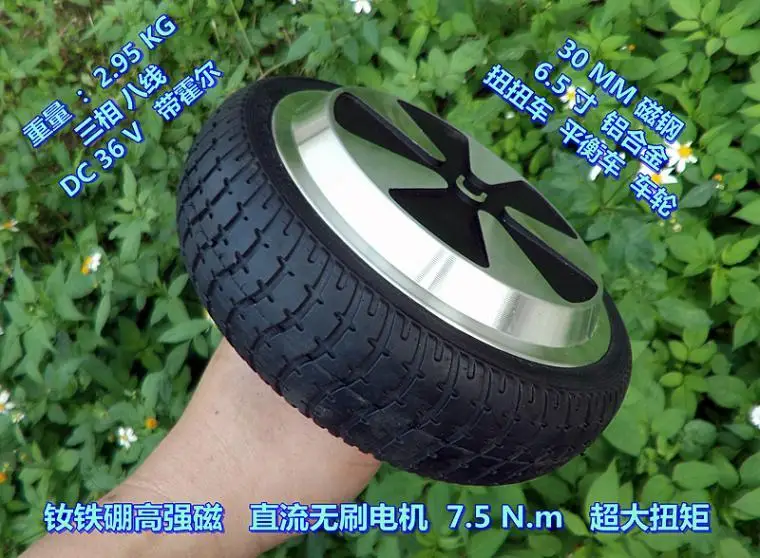 6.5 Inch DC36V/24V Brushless Wheel Motor High Power High Torque 7.5 N.m Balance Car Twisting Car Power Wheel