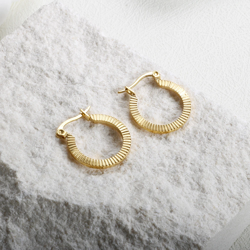 Aros Aesthetic Earrings   Earrings Ring U Shaped Threaded Baroque Metal Stainless Steel Hoops Earring Jewelry Gift image 4