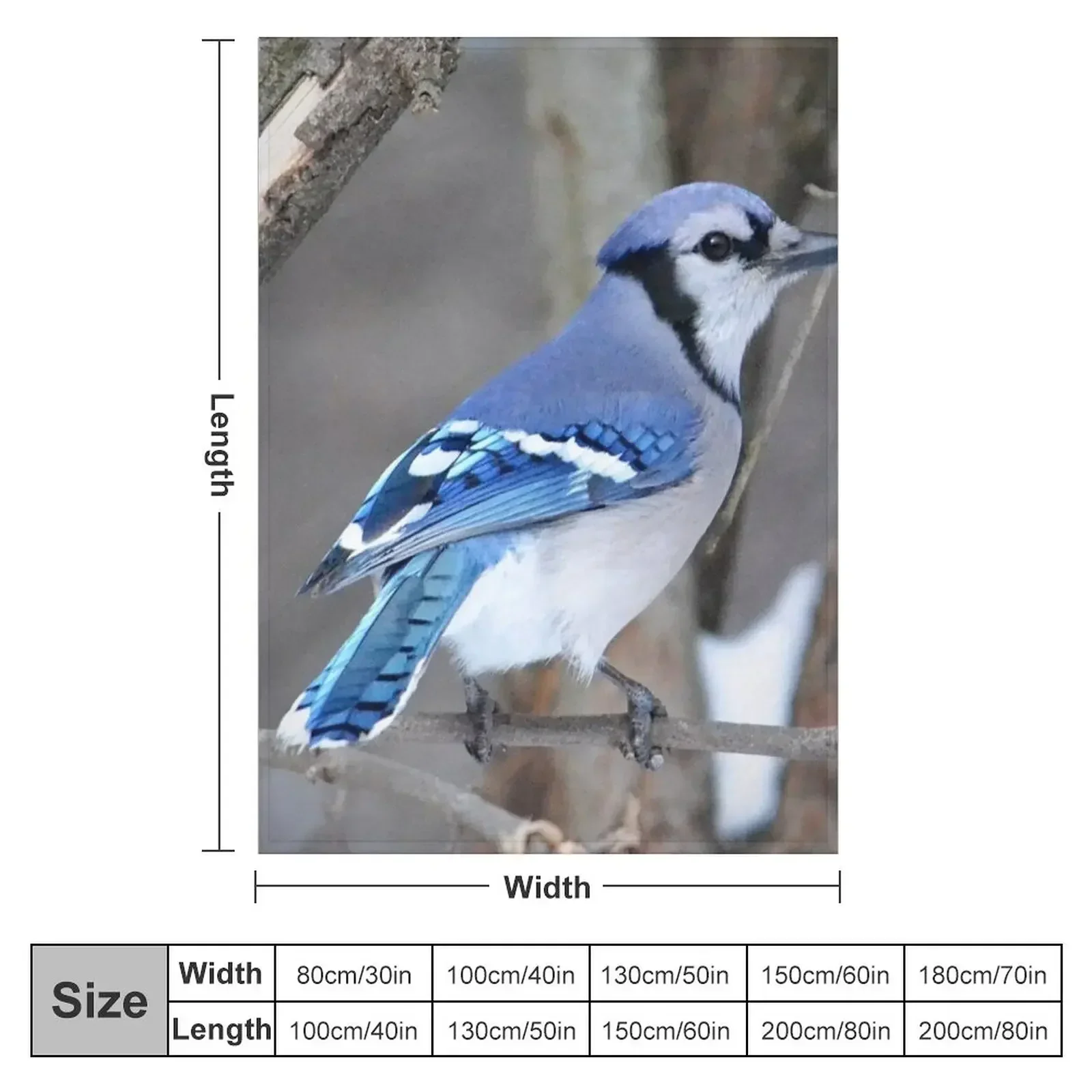 Blue Jay on a Branch Throw Blanket Decorative Sofa Hair Blankets