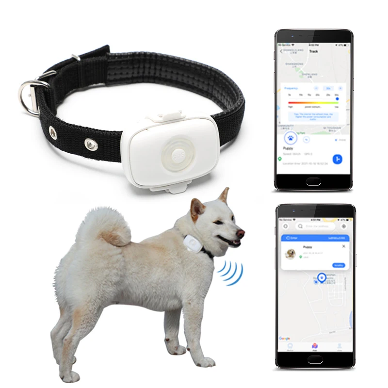 

4G Network SOS Rechargeable Dog GPS Tracker