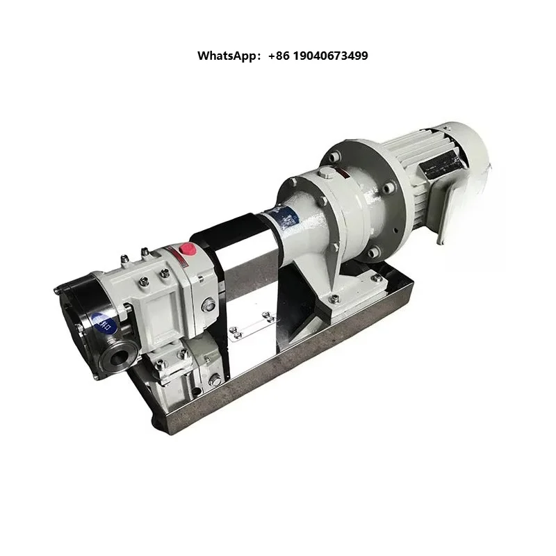 Gear Pump High Precision Rotor Pump 304 316 Sanitary Stainless Steel Low Pressure OEM Rotary Displacement Grease Pump   h003