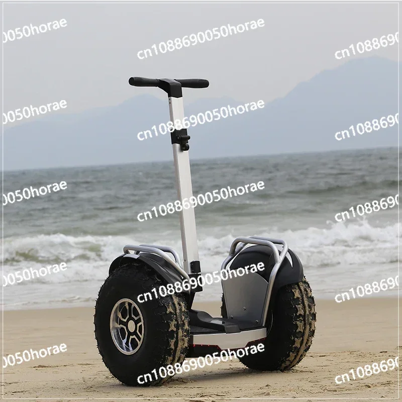 Dual Motor 3000W  20 Inch Fat Tire Two Wheel Self Balancing Mobility Scooter Off Road