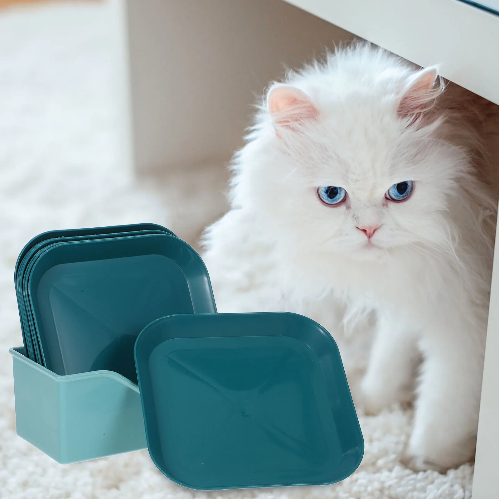 

1 set Cat Bowl For Indoor Cats Sturdy Pp Nonslip Base Easy Clean Shallow Feeding Dish Small Pet Food Bowl Square Cat Feeder Pet