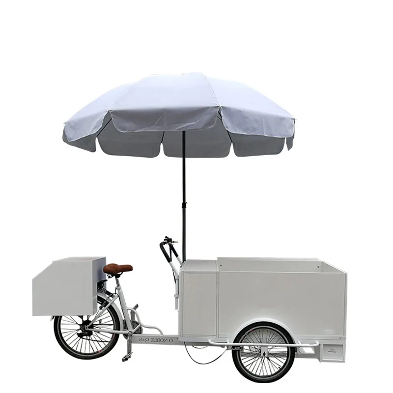 Electric Freezer Bike Ice Cream Cart Food Coffee Vending Truck Cold Drink Refrigerated Bicycle with Frozen Function