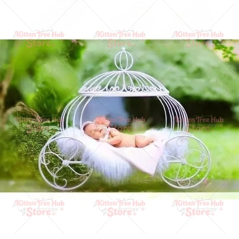 Photography props Studio photography wrought iron props