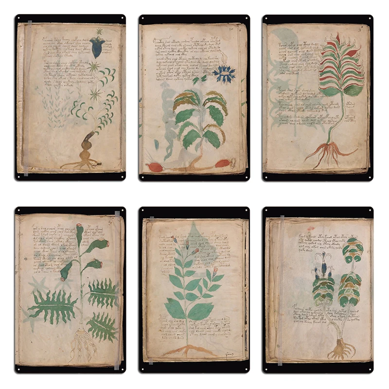 Voynich Manuscript Page book cover Illustrated codex green leaf and flower Metal Decoration Iron Classic Tin Sign Poster