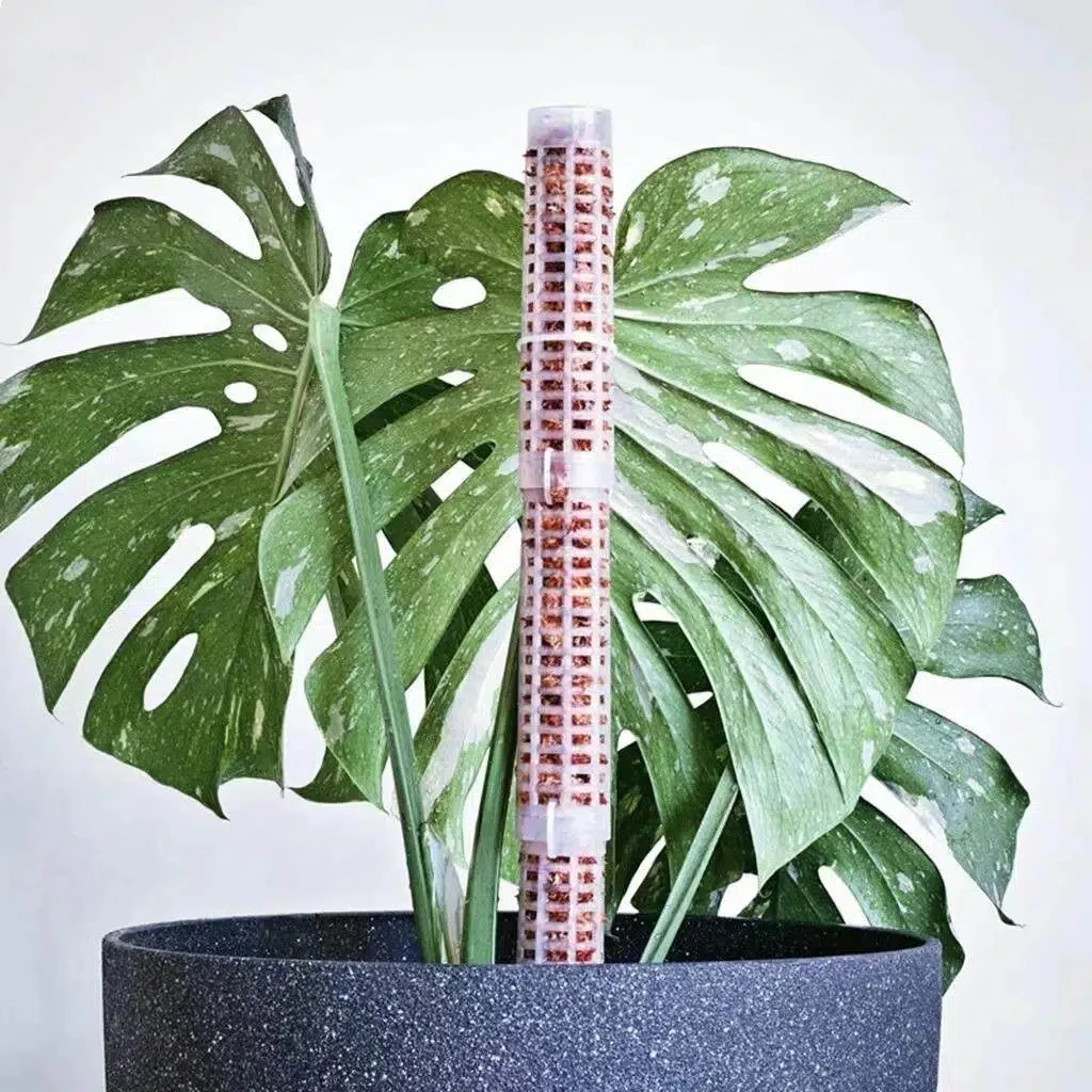Moss Pole Plastic Plant Stand Indoor Climbing Plants Guardian Tutors Pot Moss Stick For Plants Growth Garden Support Accessories