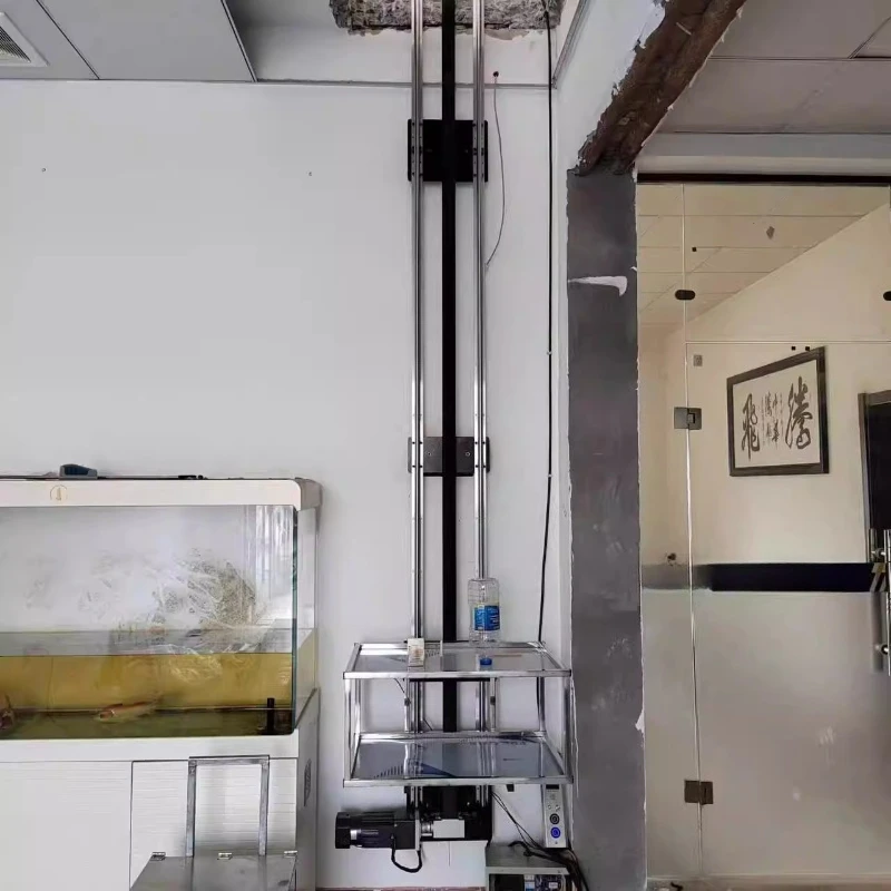 

Hotel simple vegetable delivery machine lift vegetable delivery elevator single double track