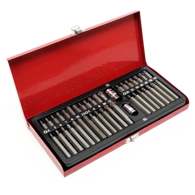 Podofo 40-teiliges Set Sternförmige Bits/Blütenförmige Bits/Innensechskant-Bits/Pflaumenförmige Bits/Zwölfkant-Bits/Sechskant-Steckschlüssel