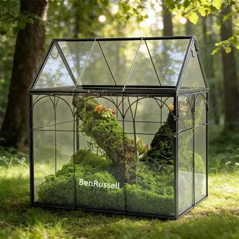 Micro Moss Rainforest Landscape Glass Terrarium Miniature Garden Moss Ecosystem Desktop Greenhouse Indoor Home Table Vase