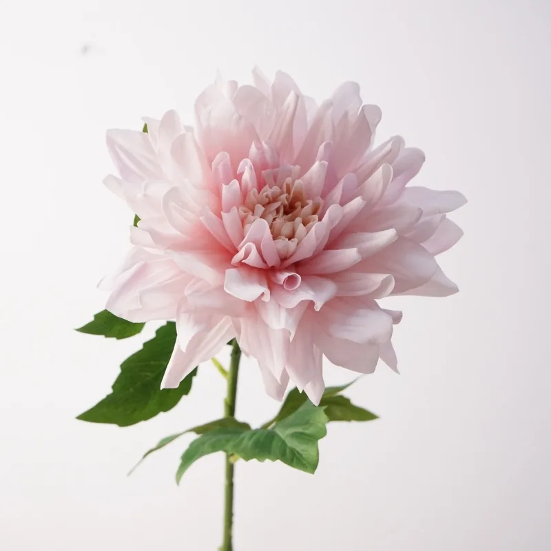 4 Stück Real Touch Dahlie Feuchtigkeitsspendende Kunstblumen Hochzeitsdekoration Künstliche Dahlienblumen Heimdekoration Partytisch-Display Blumenarrangement – Detail 2