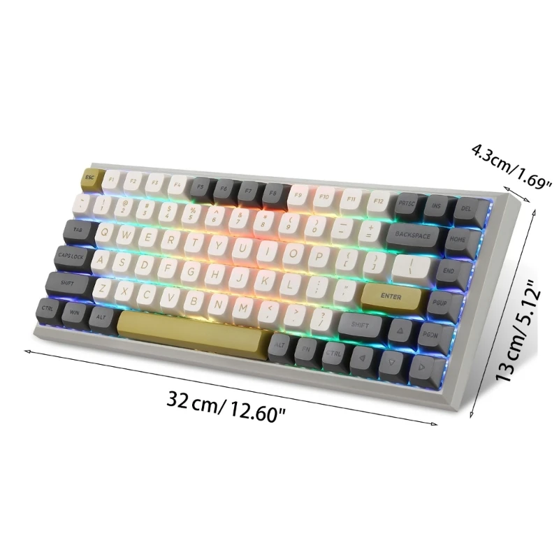 

R91A SK84 Mechanical Gaming Keyboard Type C RGB Backlit Keypad 84 Keys PBT Spherical Keycaps Programmable Hot Swappable