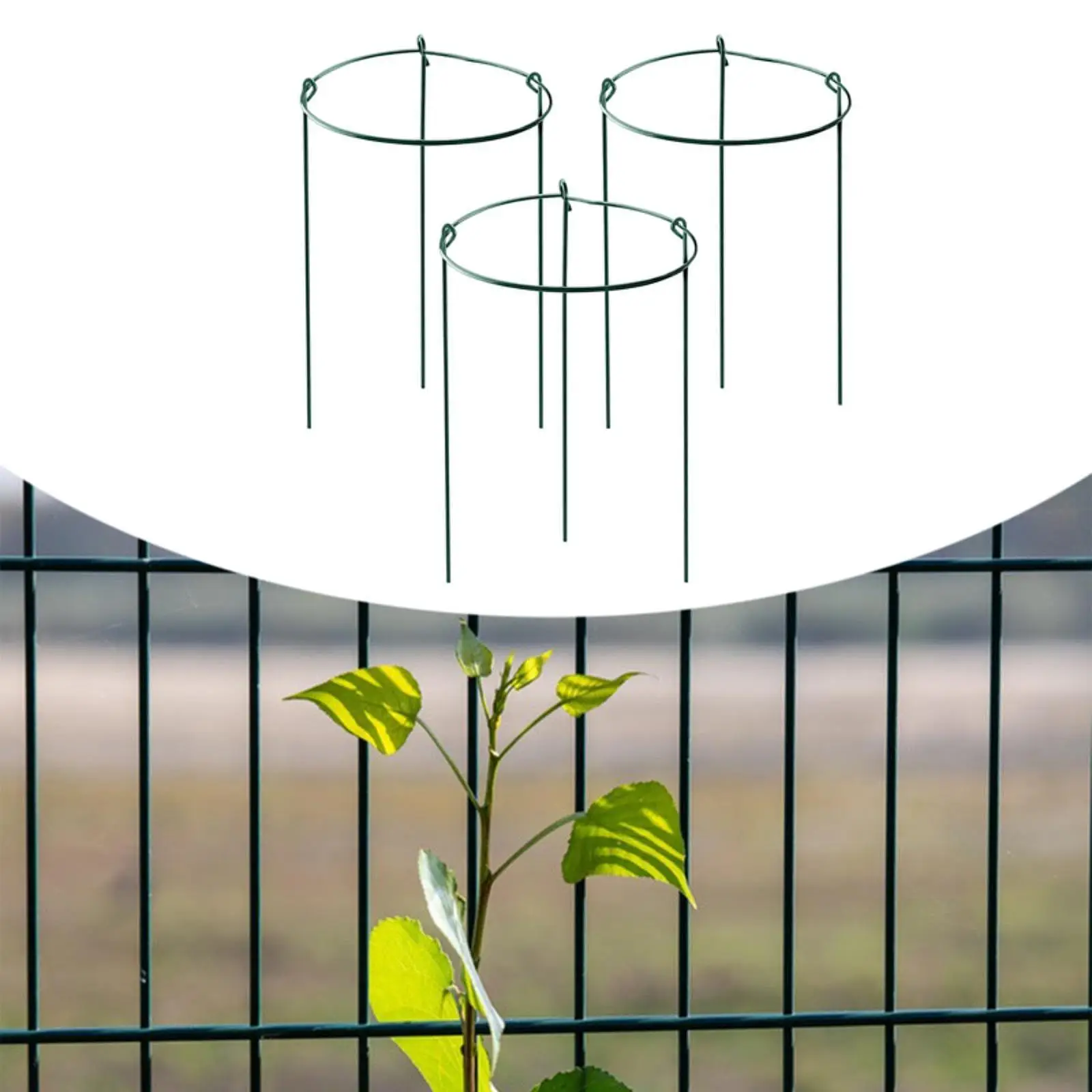 

3x Flower Plant Cages Support Rose Rings 25x40cm Versatile Round Plant Trellis for Indoor Potted Plants Simple Assembly Sturdy