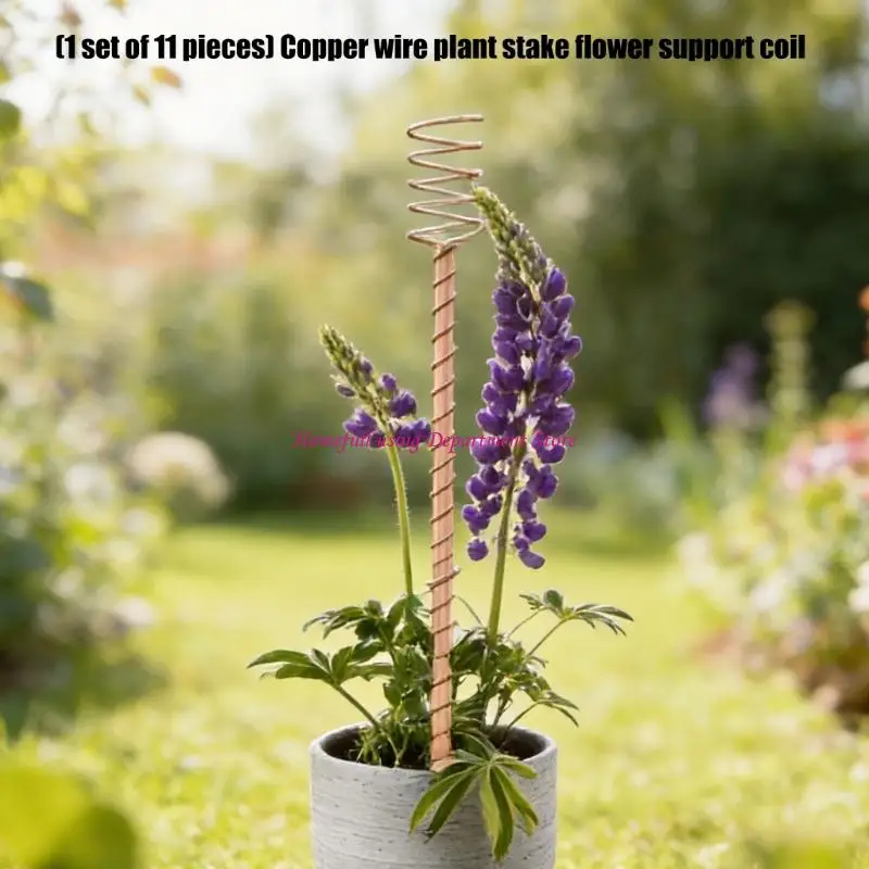 Warm Finish Garden Stake Set with Coil Top Flower Guides for Containers and Soil, Wire Holders for Home Garden Display Use and