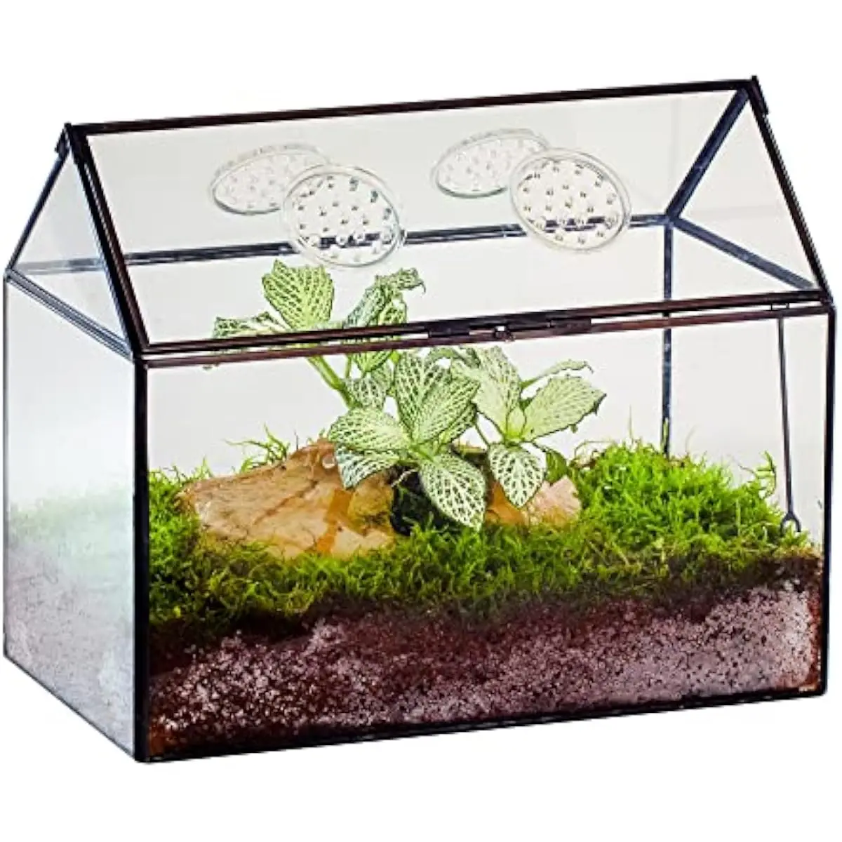 Geometric House-Shaped Glass Enclosure with Ventilated Swing Lid and Four Acrylic Air Vents – Modern Black Tabletop Habitat for