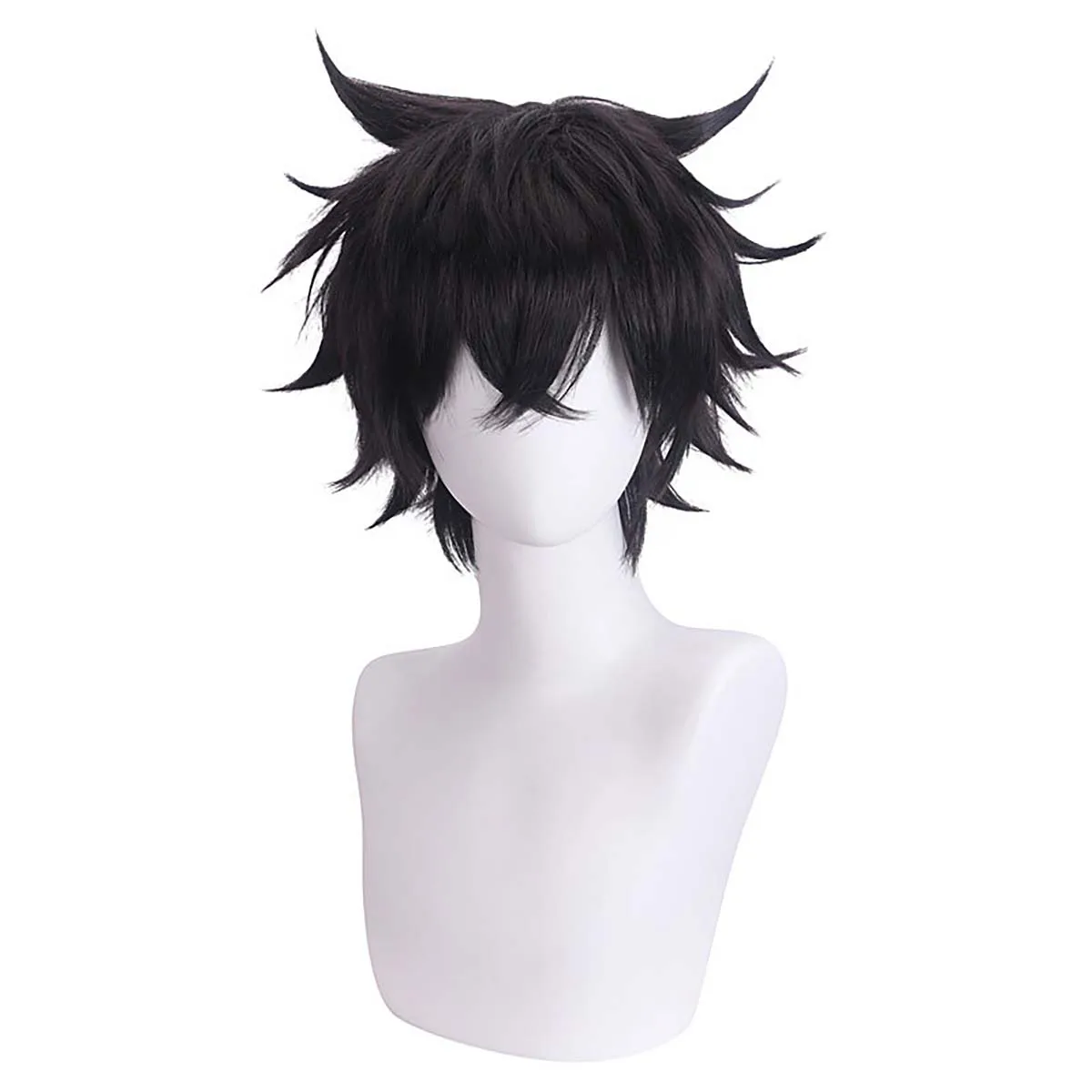 Black Short Hair Wig Anime the Rising of the Shield Hero Naofumi Iwatani Cosplay