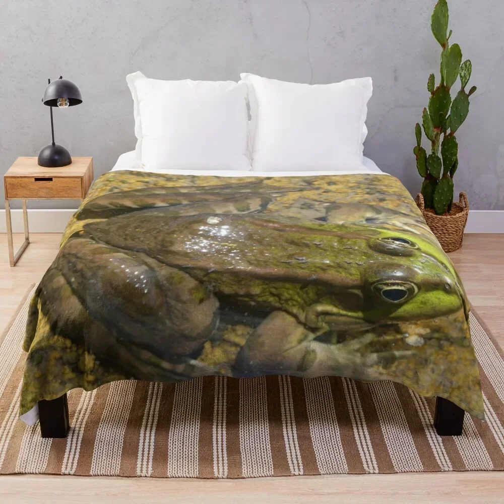 

Green frog view from above Throw Blanket Stylish Warm Blanket for Living Room Bedroom