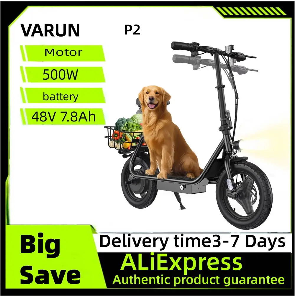Varun P2 Adult Elec…