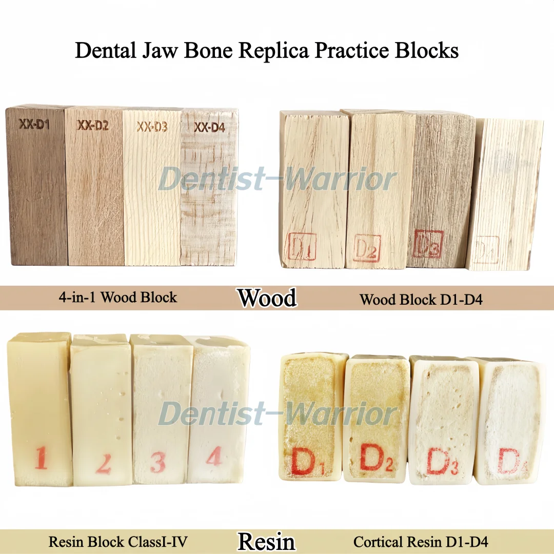 4Types Practice Model Dental Alveolar Jaw Bone Replica Model Class I-IV Cortical Mandible Wood/Resin Block