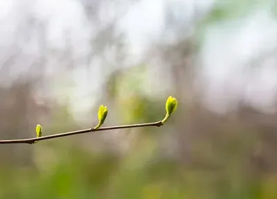 

For SCY Wltoys MJX WPL RC Car Upgrade Parts 3-Axis Gyroscope Drift Assist Accessory