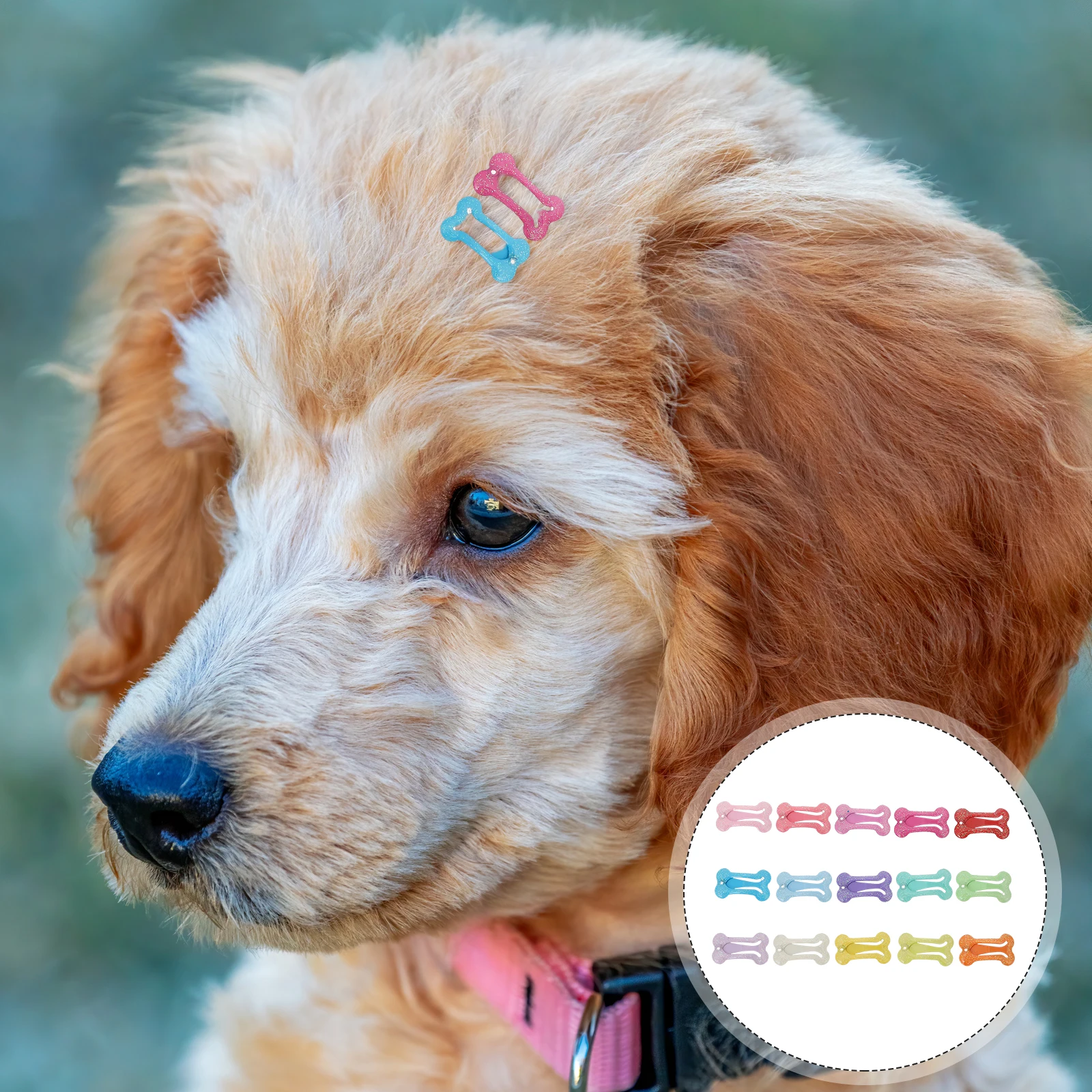 

15 Pcs Pet Dog Hairpin Decorations Bone Accessories Hairpins Clip for Dogs Child