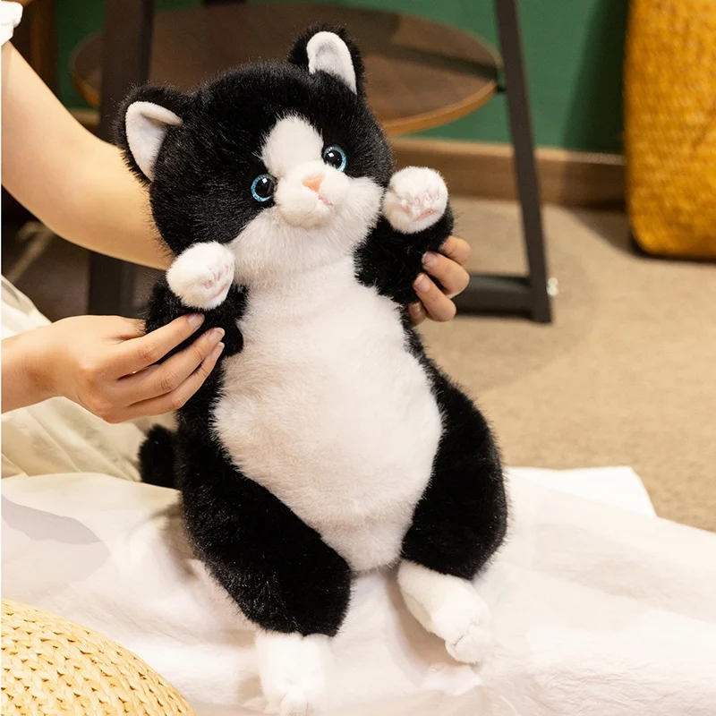 45 ซม.การ์ตูนสร้างสรรค์รอบ Lazy Faty แมวตุ๊กตา Plush Hug หมอนตุ๊กตาสัตว์แมวของเล่นสําหรับของขวัญวันเกิดตกแต่ง