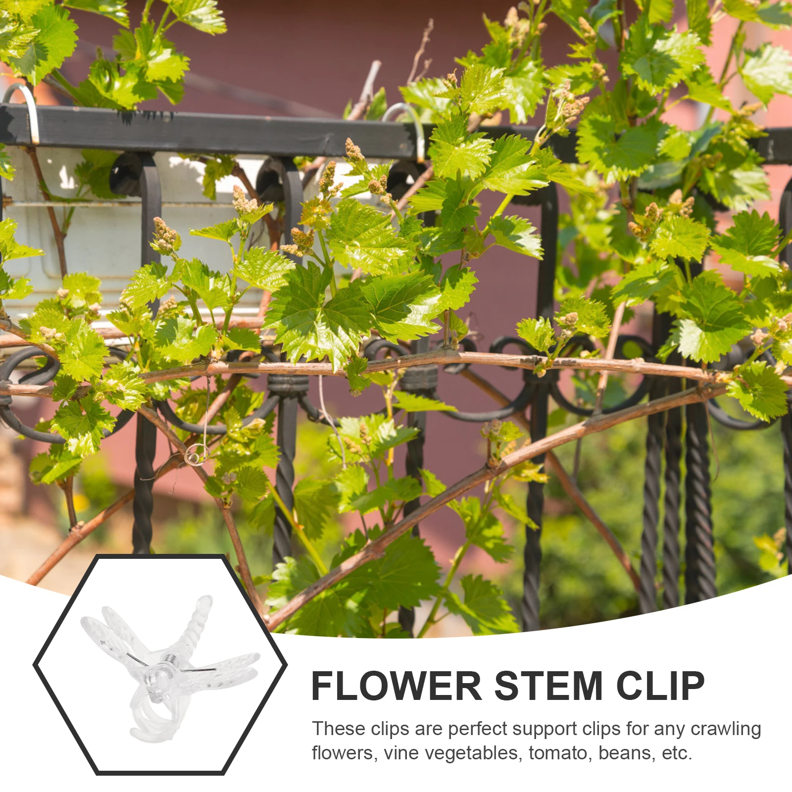 

10pcs Orchid Fixing Rod Plant Clips Transparent Supporting Stems Plastic Garden Climbing Clamp Vine Flowers Stake Tools