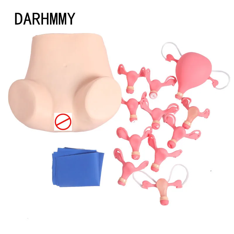 DARHMMY Gynecological Examination Model Gynecology Medical Practice Traning Model