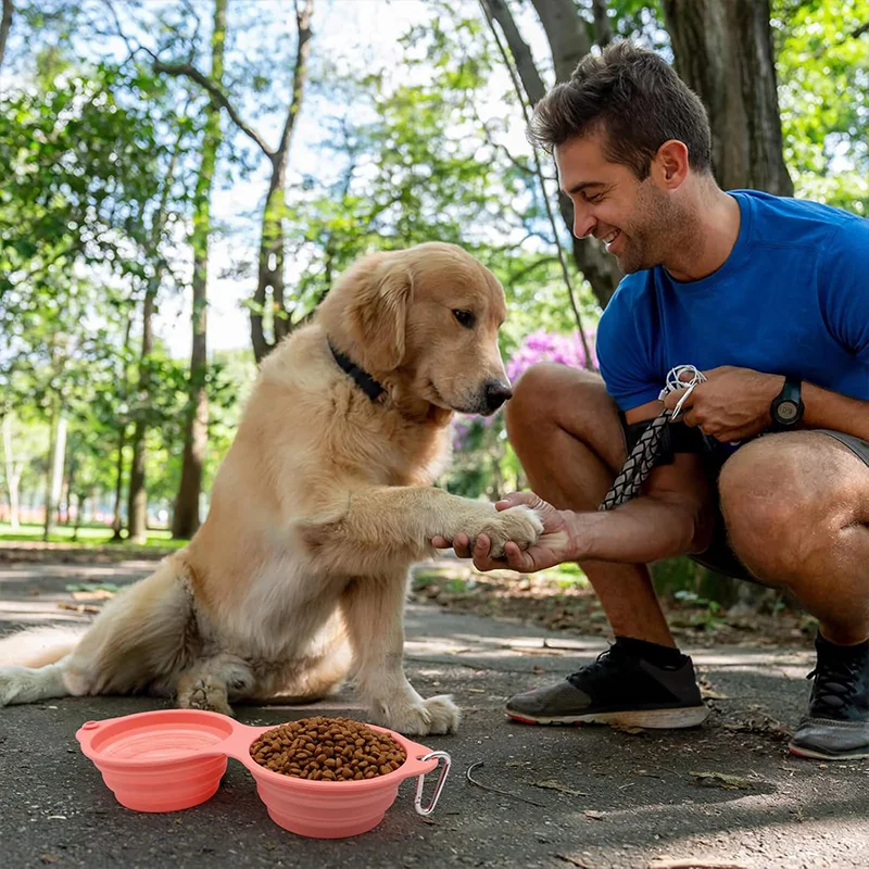 Collapsible Dog Bowls Integrated Molding Dog Double Bowl Foldable Pet Food Water Bowl Cat Feeder Dish for Walking Hiking Camping