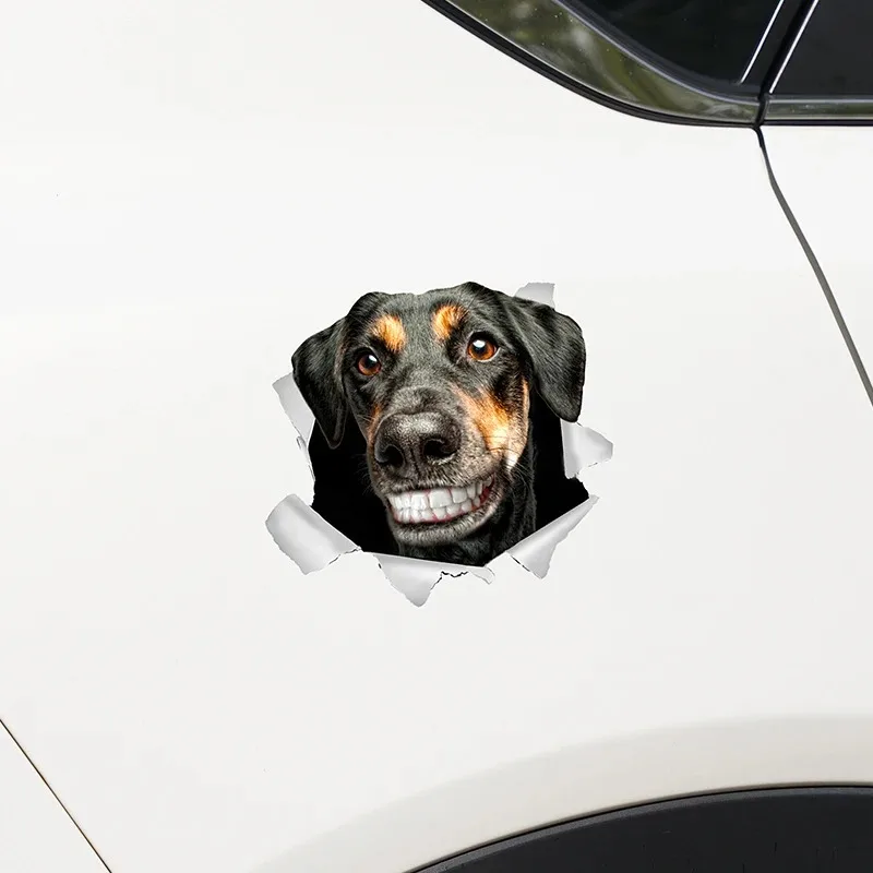 

1 шт. виниловая наклейка для собак и кошек, креативная, водонепроницаемая, для защиты от царапин, для декора кузова автомобиля и мотоцикла